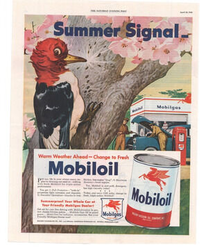Vintage Original Mobil Oil Magazine Advertisement 1950 Petroliana Woodpecker